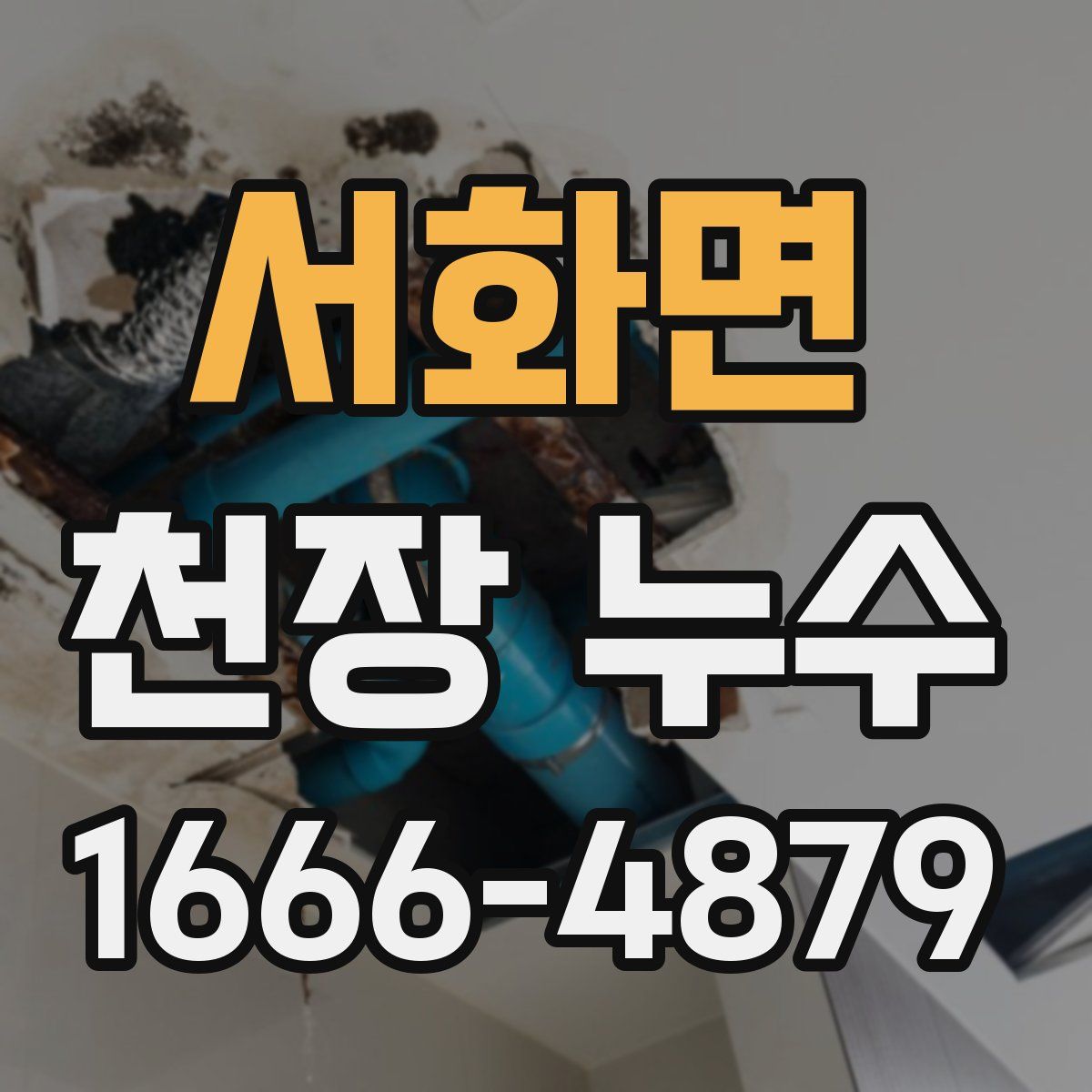 서화면 천장 누수