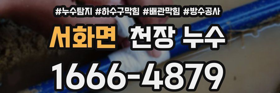 서화면 천장 누수