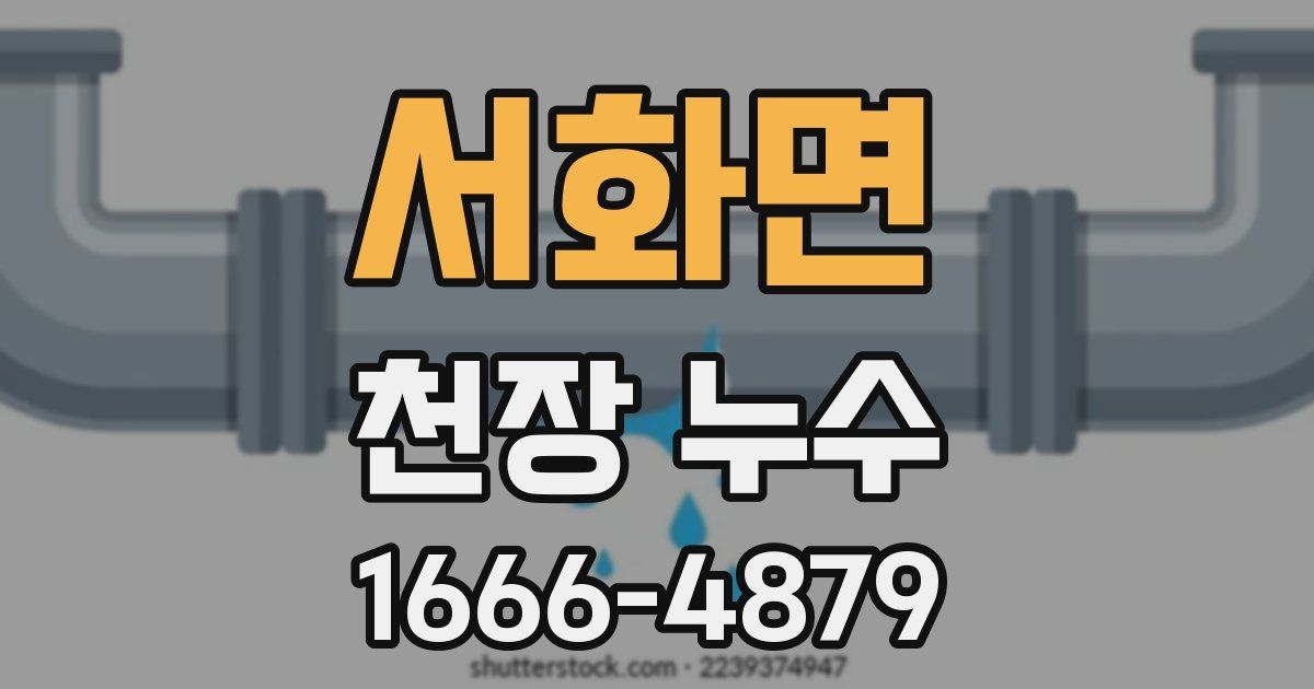 서화면 천장 누수