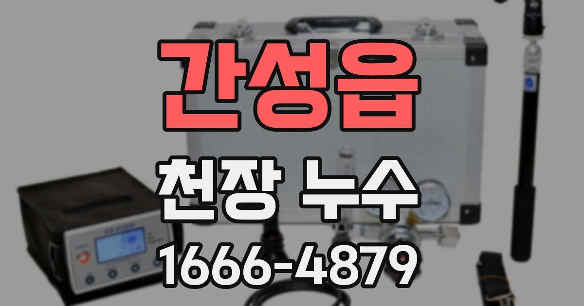 간성읍 천장 누수