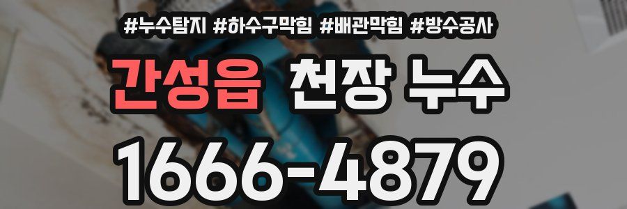 간성읍 천장 누수