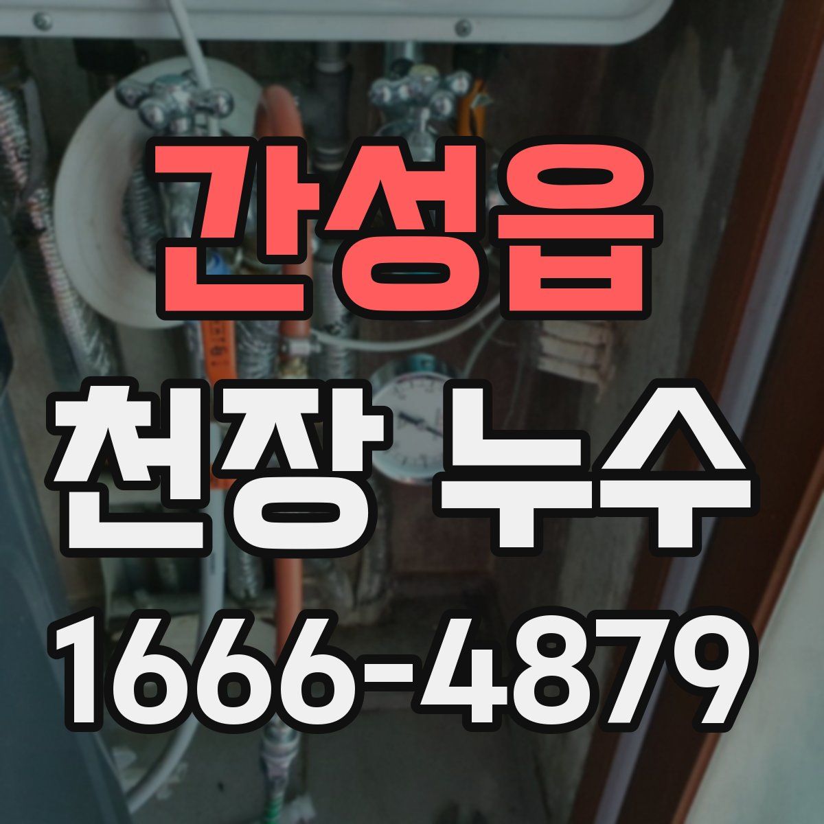 간성읍 천장 누수