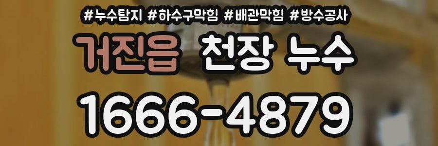 거진읍 천장 누수