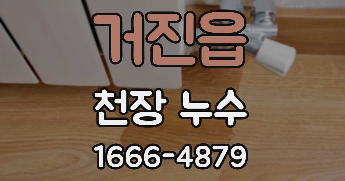거진읍 천장 누수