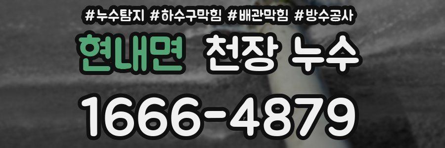 현내면 천장 누수
