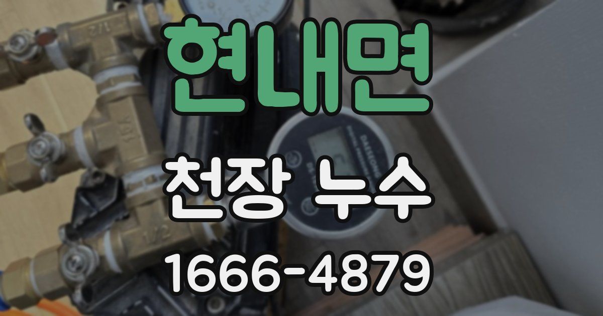 현내면 천장 누수