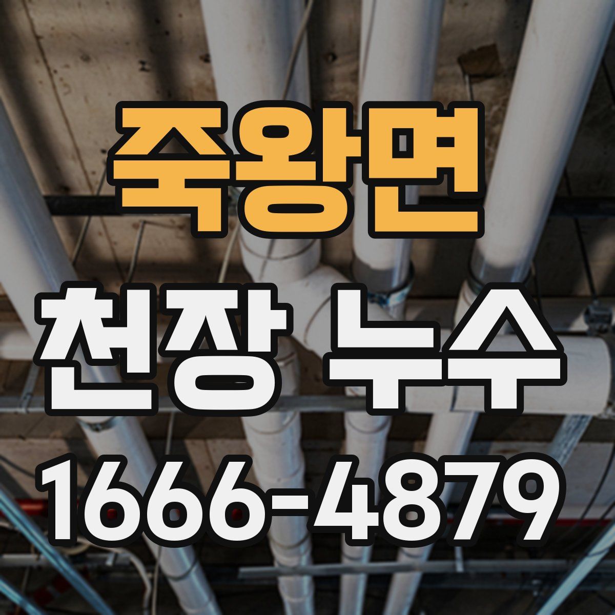 죽왕면 천장 누수