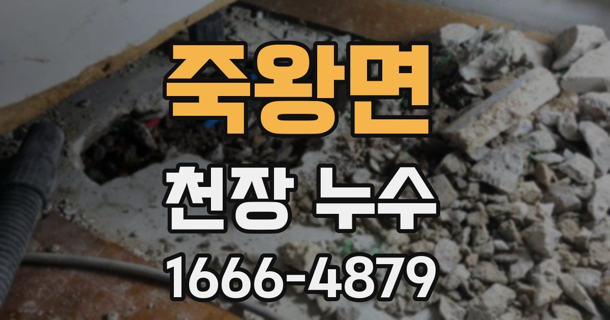죽왕면 천장 누수