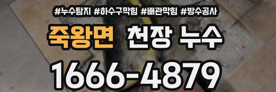 죽왕면 천장 누수