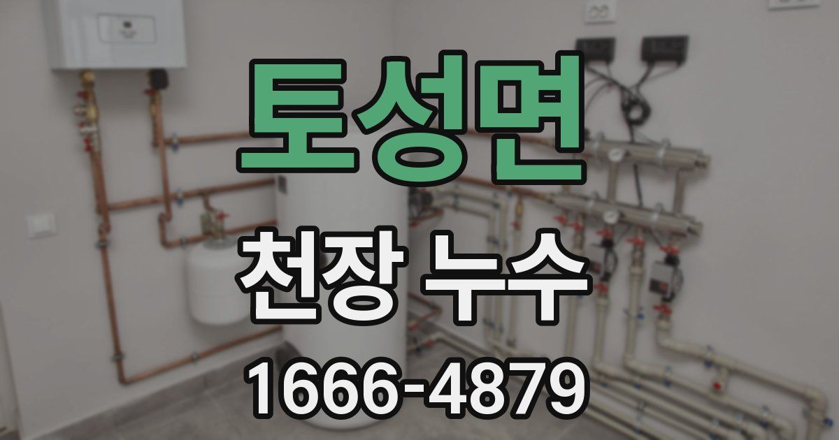 토성면 천장 누수