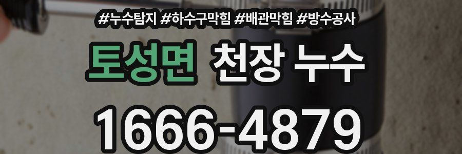 토성면 천장 누수