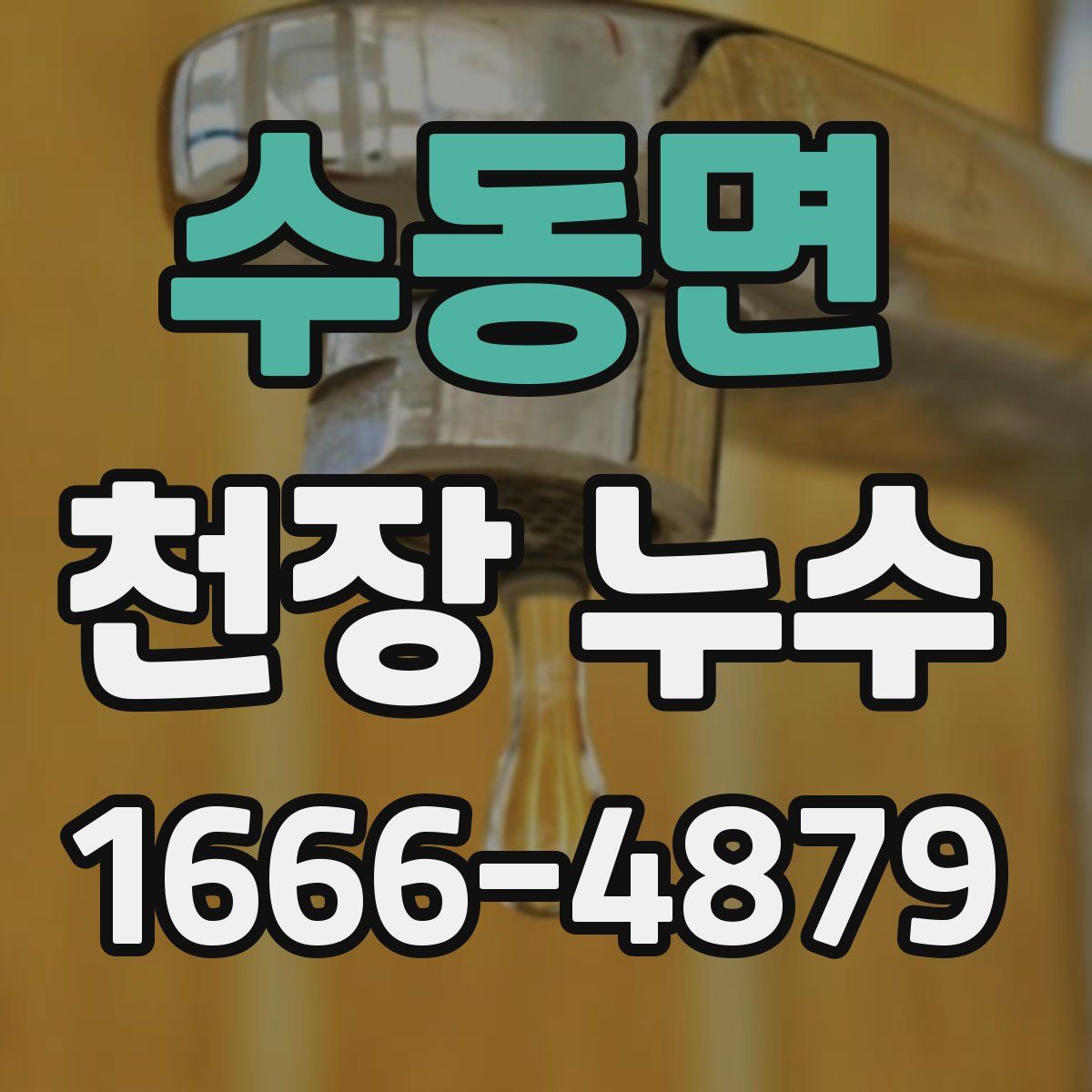 수동면 천장 누수