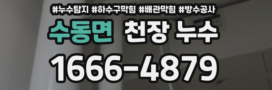 수동면 천장 누수