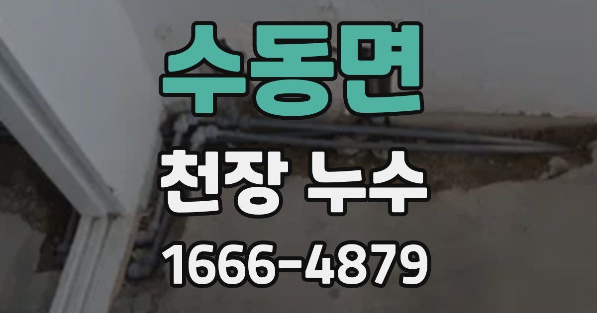 수동면 천장 누수