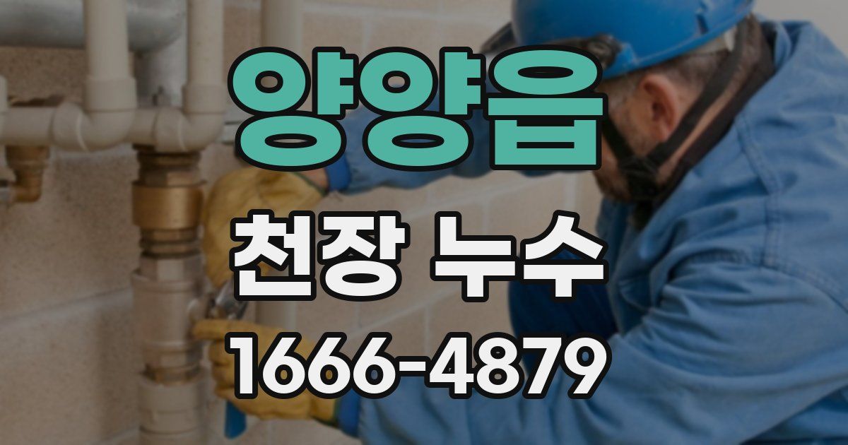 양양읍 천장 누수