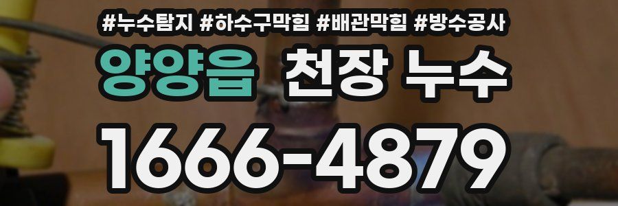 양양읍 천장 누수