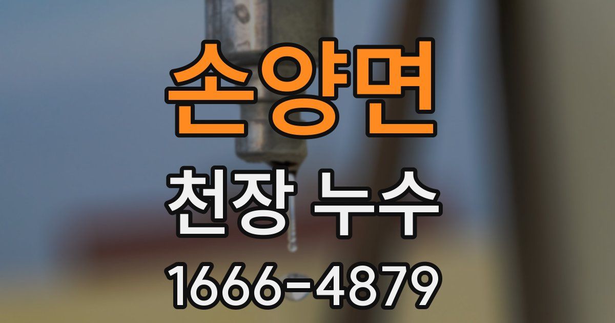 손양면 천장 누수