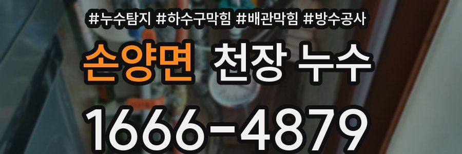 손양면 천장 누수