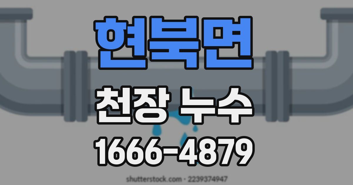 현북면 천장 누수