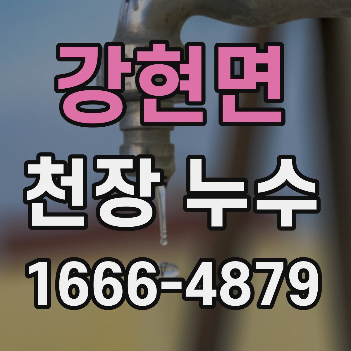 강현면 천장 누수