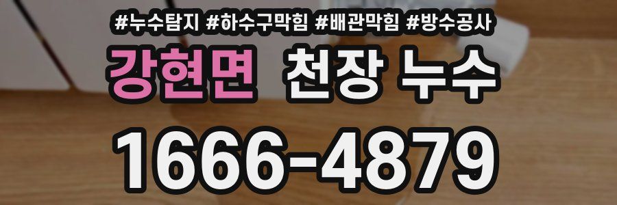 강현면 천장 누수