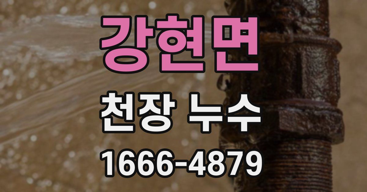 강현면 천장 누수