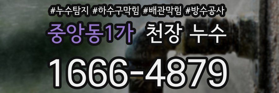 중앙동1가 천장 누수
