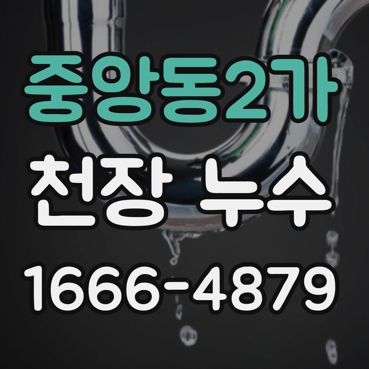중앙동2가 천장 누수