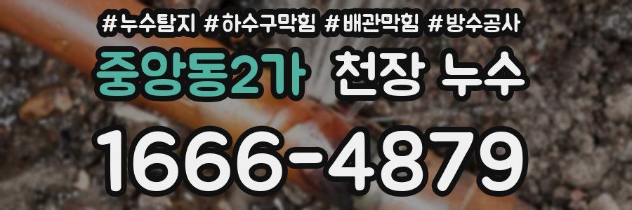 중앙동2가 천장 누수