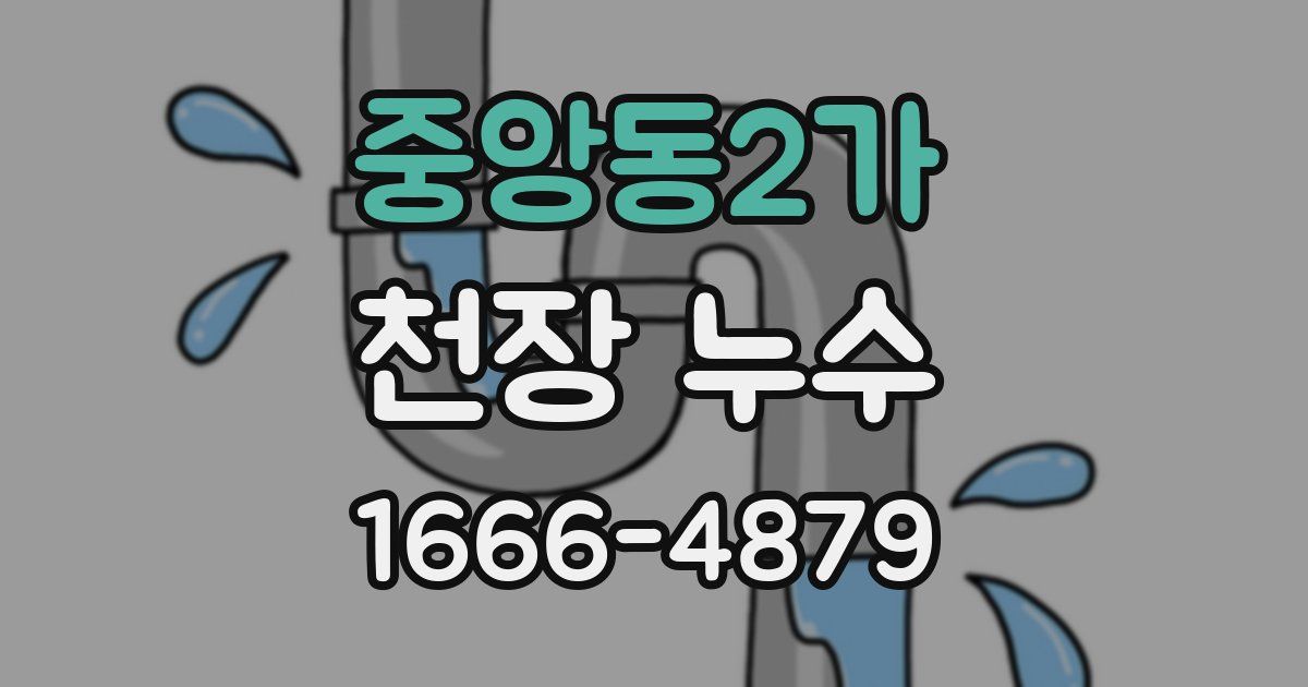 중앙동2가 천장 누수
