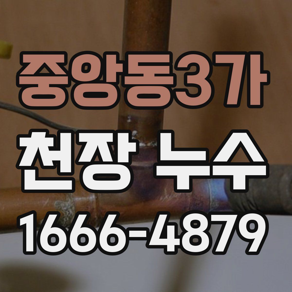 중앙동3가 천장 누수