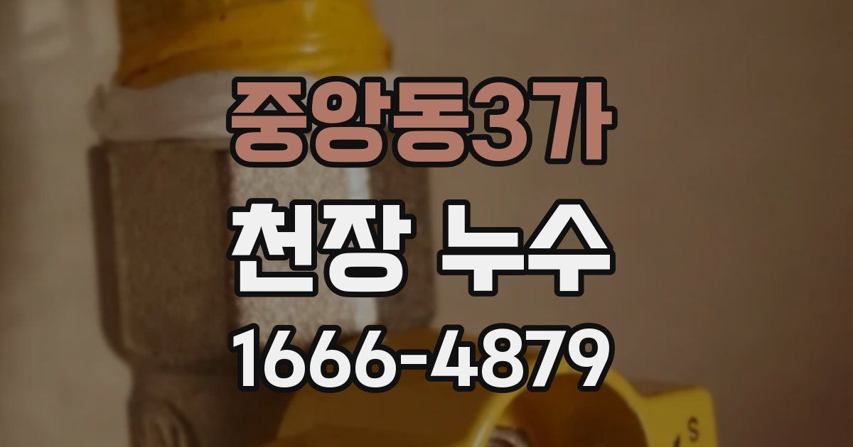 중앙동3가 천장 누수