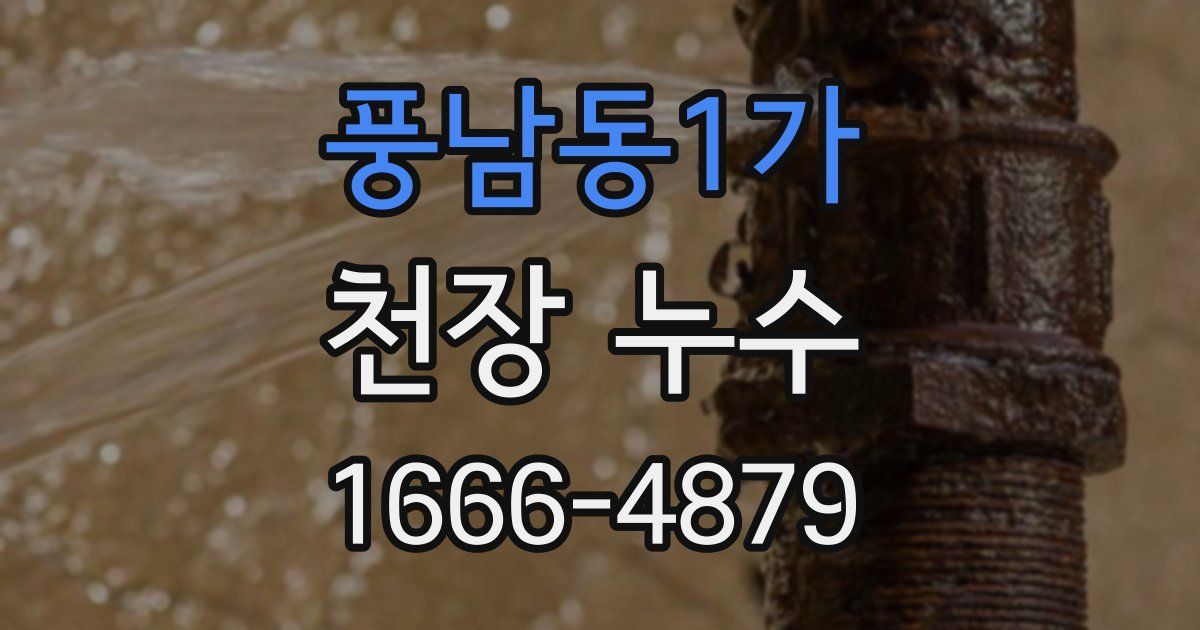 풍남동1가 천장 누수