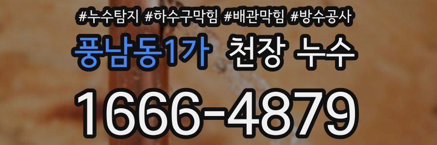 풍남동1가 천장 누수