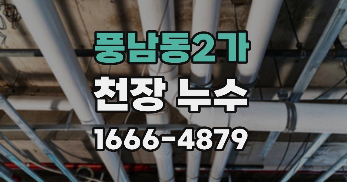 풍남동2가 천장 누수