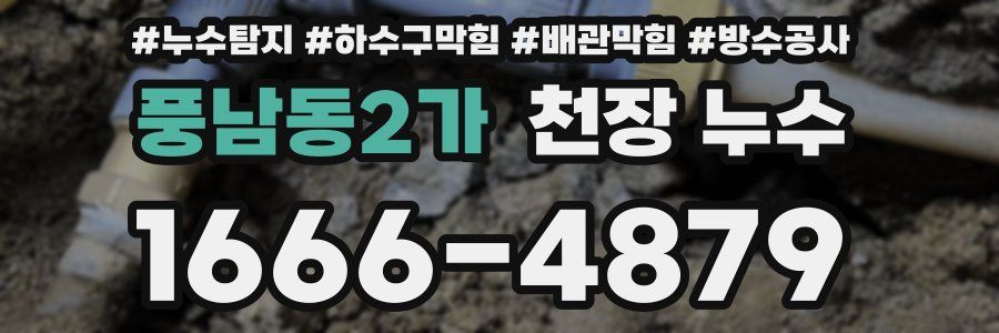 풍남동2가 천장 누수