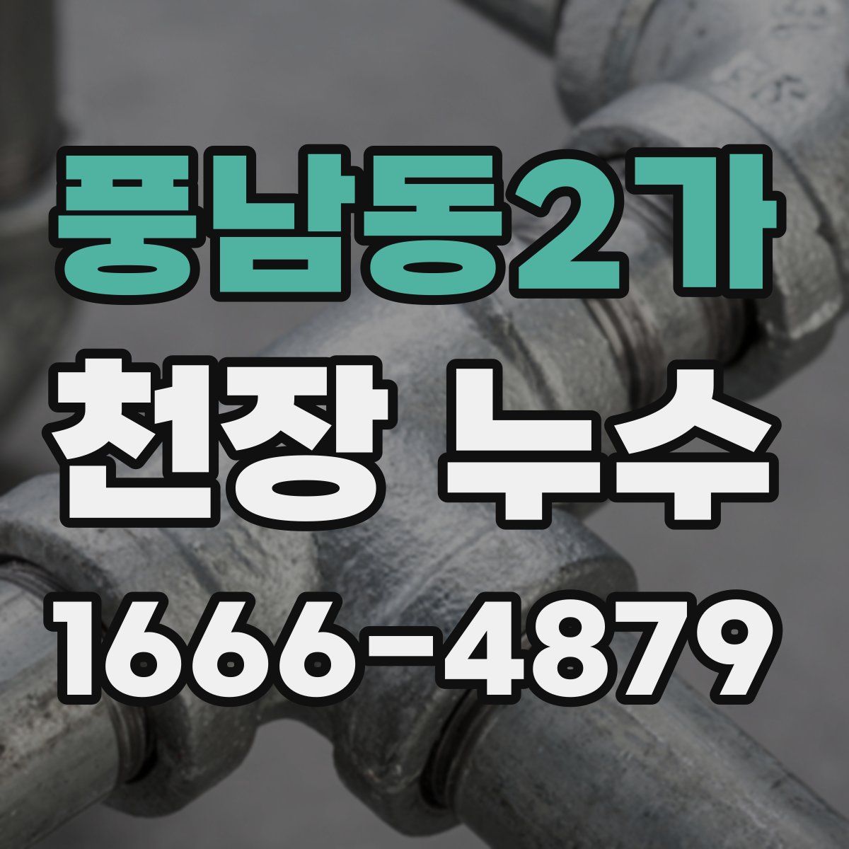 풍남동2가 천장 누수