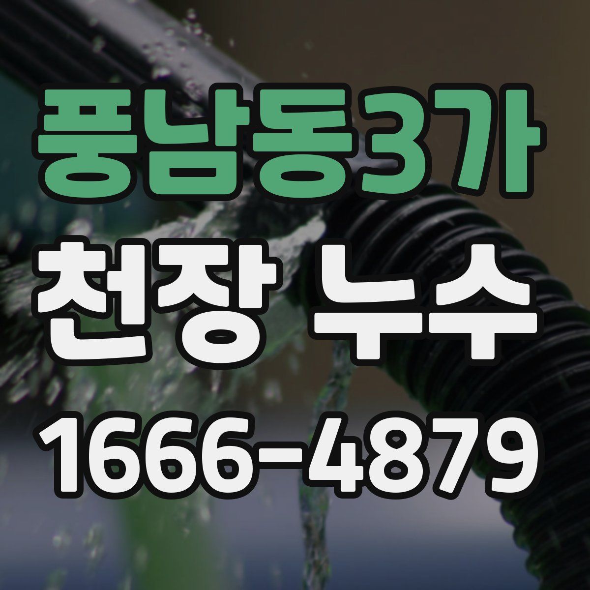 풍남동3가 천장 누수