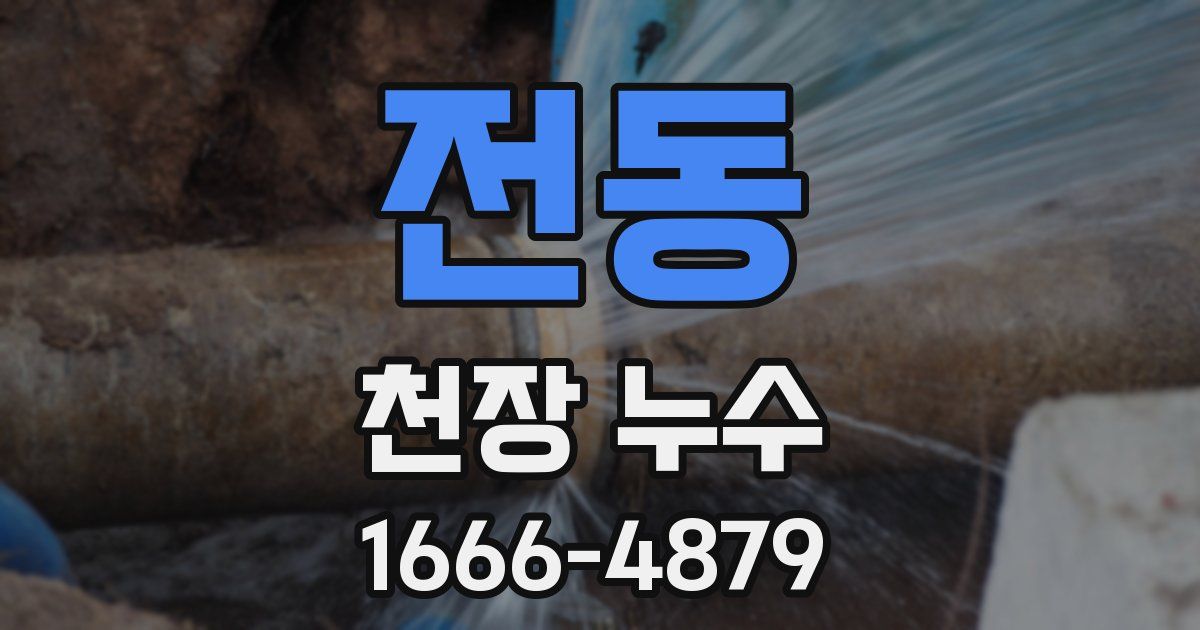 전동 천장 누수