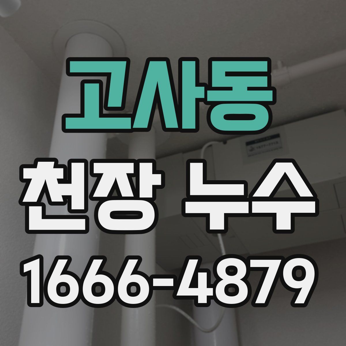 고사동 천장 누수