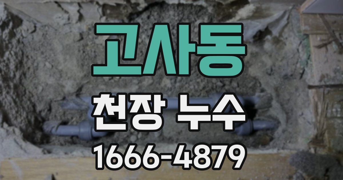 고사동 천장 누수
