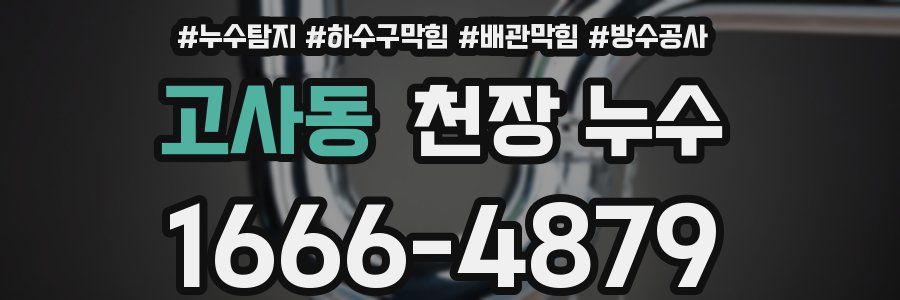 고사동 천장 누수