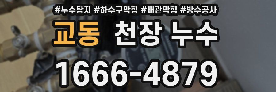교동 천장 누수