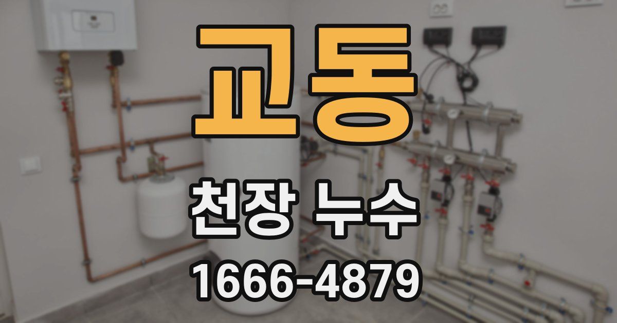 교동 천장 누수
