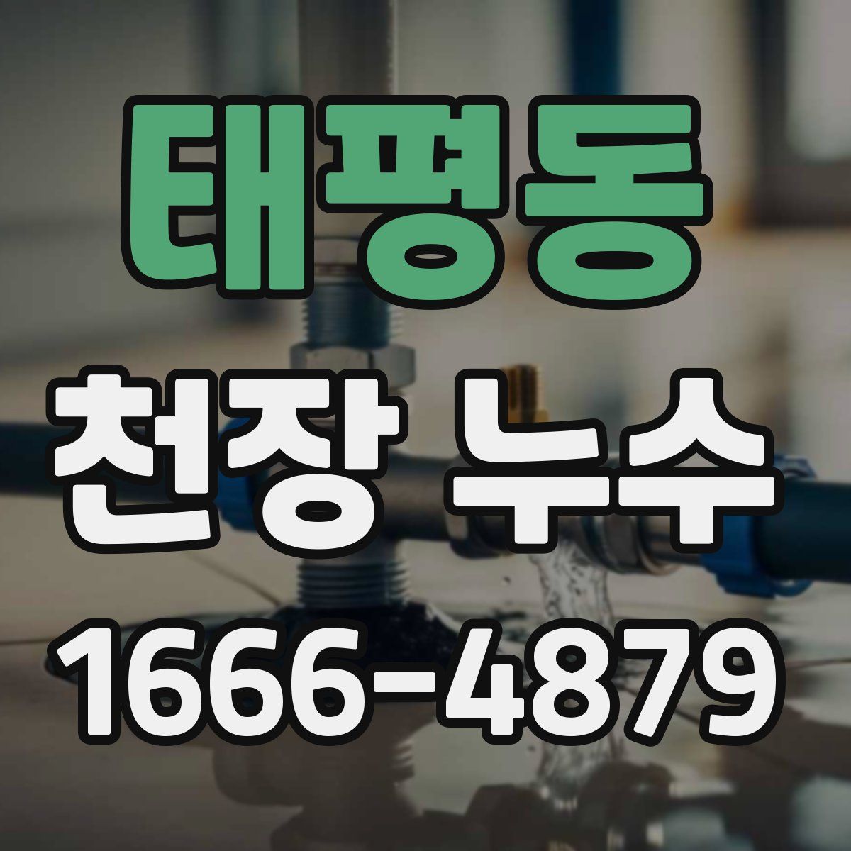 태평동 천장 누수
