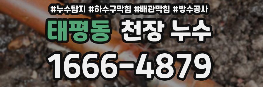 태평동 천장 누수