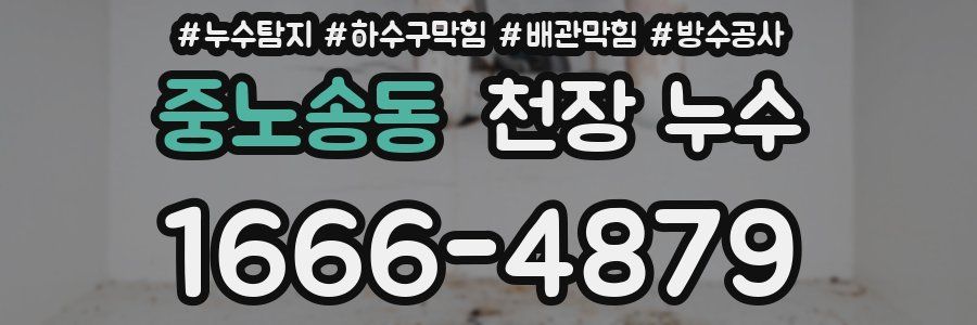 중노송동 천장 누수