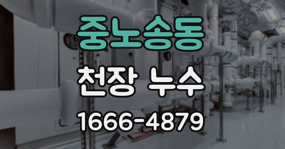 중노송동 천장 누수