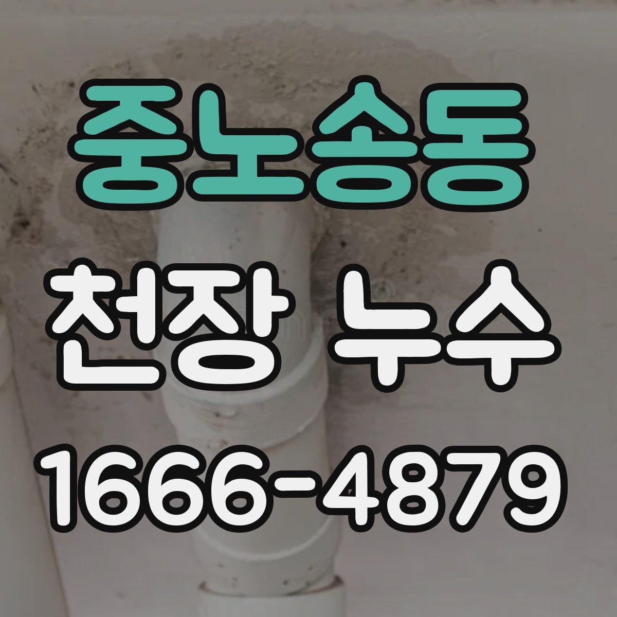 중노송동 천장 누수