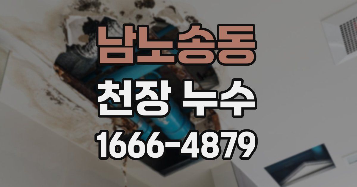 남노송동 천장 누수